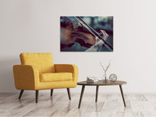 Load image into Gallery viewer, Canvas print violin