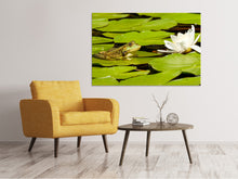 Load image into Gallery viewer, Canvas print The frog and the water lily