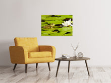 Load image into Gallery viewer, Canvas print The frog and the water lily