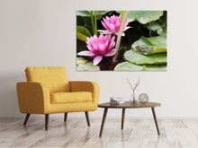 Load image into Gallery viewer, Canvas print The frog in the protection of water lilies