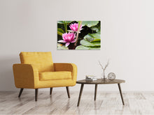 Load image into Gallery viewer, Canvas print The frog in the protection of water lilies