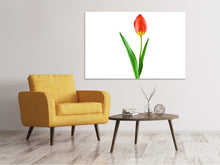 Load image into Gallery viewer, Canvas print The proud tulip