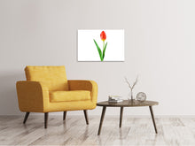 Load image into Gallery viewer, Canvas print The proud tulip