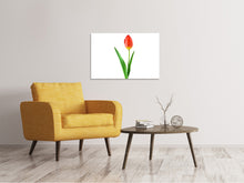 Load image into Gallery viewer, Canvas print The proud tulip