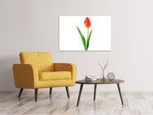 Load image into Gallery viewer, Canvas print The proud tulip