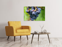 Load image into Gallery viewer, Canvas print grapes