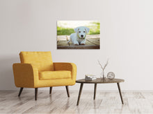 Load image into Gallery viewer, Canvas print Cute dog baby