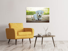 Load image into Gallery viewer, Canvas print Cute dog baby