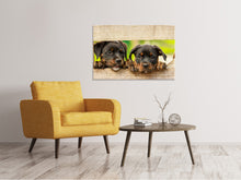 Load image into Gallery viewer, Canvas print 2 Rottweiler puppies