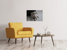 Load image into Gallery viewer, Canvas print The Weimaraner