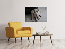 Load image into Gallery viewer, Canvas print The Weimaraner