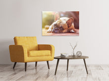 Load image into Gallery viewer, Canvas print Tired bulldog