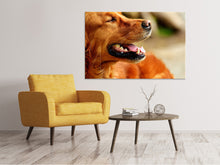Load image into Gallery viewer, Canvas print Irish Setter muzzle