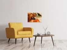 Load image into Gallery viewer, Canvas print Irish Setter muzzle