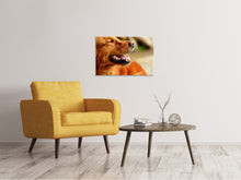 Load image into Gallery viewer, Canvas print Irish Setter muzzle