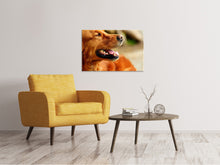 Load image into Gallery viewer, Canvas print Irish Setter muzzle