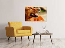 Load image into Gallery viewer, Canvas print Irish Setter muzzle