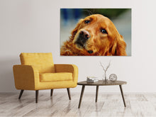 Load image into Gallery viewer, Canvas print Faithful Irish Setter