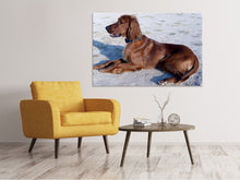Load image into Gallery viewer, Canvas print Elegant Irish Setter