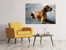 Load image into Gallery viewer, Canvas print The Irish Setter