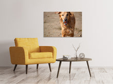 Load image into Gallery viewer, Canvas print Wet dog