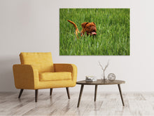 Load image into Gallery viewer, Canvas print The mastiff in the grass