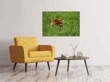 Load image into Gallery viewer, Canvas print The mastiff in the grass