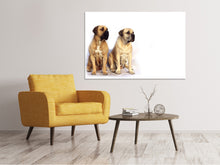 Load image into Gallery viewer, Canvas print 2 mastiffs