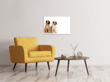 Load image into Gallery viewer, Canvas print 2 mastiffs