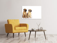 Load image into Gallery viewer, Canvas print 2 mastiffs