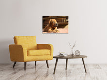 Load image into Gallery viewer, Canvas print Sad dog look