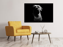 Load image into Gallery viewer, Canvas print The Boerboel sw