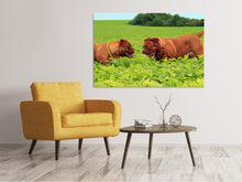 Load image into Gallery viewer, Canvas print 2 heavyweights