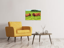 Load image into Gallery viewer, Canvas print 2 heavyweights