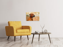 Load image into Gallery viewer, Canvas print Watchful Rhodesian Ridgeback