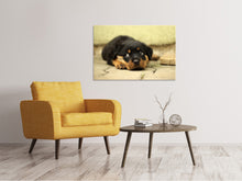 Load image into Gallery viewer, Canvas print Sweet Rottweiler puppy
