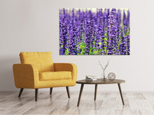 Load image into Gallery viewer, Canvas print XL lavender