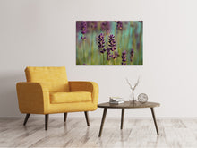 Load image into Gallery viewer, Canvas print Lavender in XL