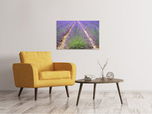 Load image into Gallery viewer, Canvas print The lavender field