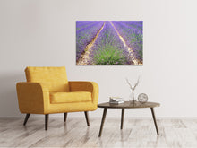 Load image into Gallery viewer, Canvas print The lavender field