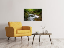 Load image into Gallery viewer, Canvas print Relaxation at the waterfall 2