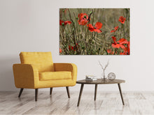 Load image into Gallery viewer, Canvas print The poppy in nature