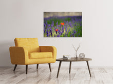 Load image into Gallery viewer, Canvas print Poppy in the lavender