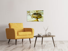 Load image into Gallery viewer, Canvas print Golden compass