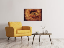 Load image into Gallery viewer, Canvas print Antique compass XL