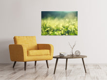 Load image into Gallery viewer, Canvas print In the meadow