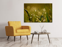 Load image into Gallery viewer, Canvas print Dew in the morning