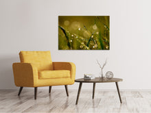 Load image into Gallery viewer, Canvas print Dew in the morning