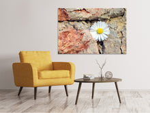 Load image into Gallery viewer, Canvas print Flower in the wall