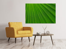 Load image into Gallery viewer, Canvas print Palm stripe 1